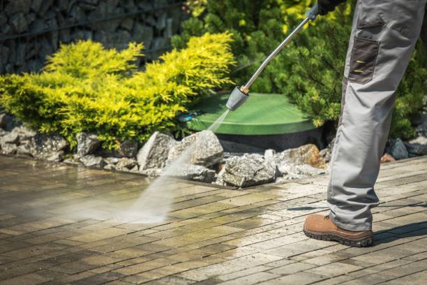 Best Patio and Deck Pressure Washing  in Immokalee, FL