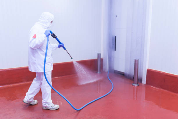 Best Post-Construction Pressure Washing  in Immokalee, FL